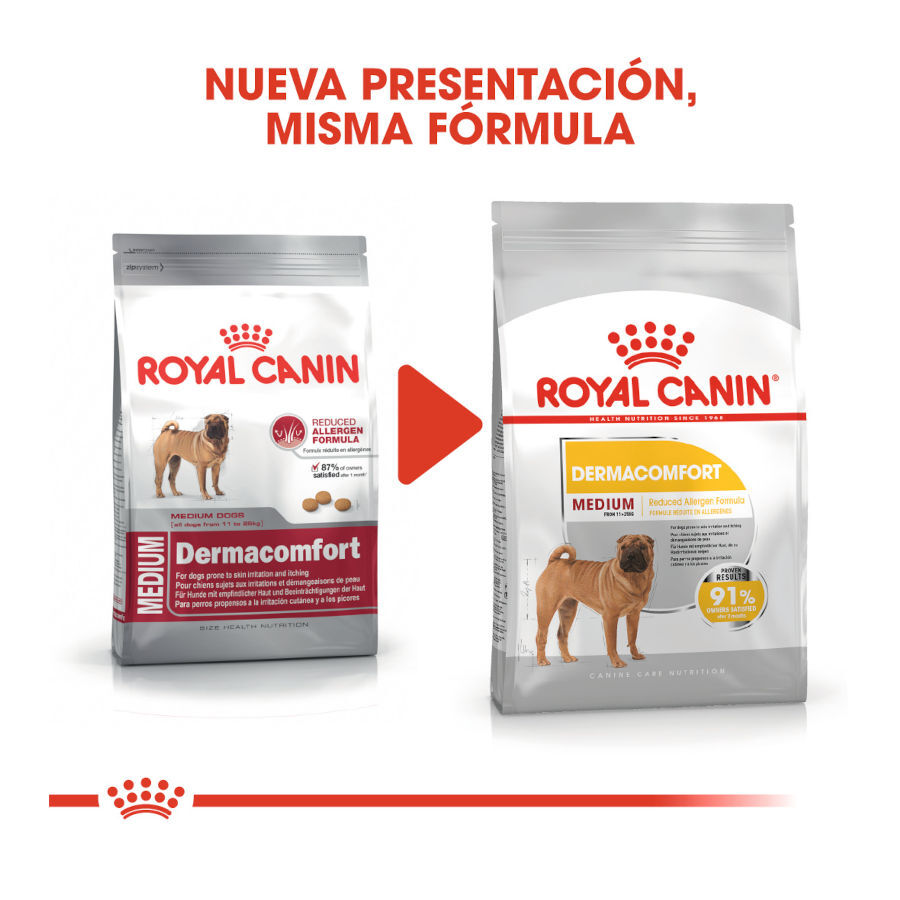 12 kg Royal Canin Medium Dermacomfort ra&ccedil;&atilde;o para c&atilde;es, , large Imagem n&uacute;mero 3